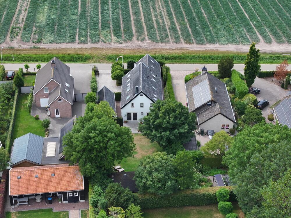 Foto 66 1000w