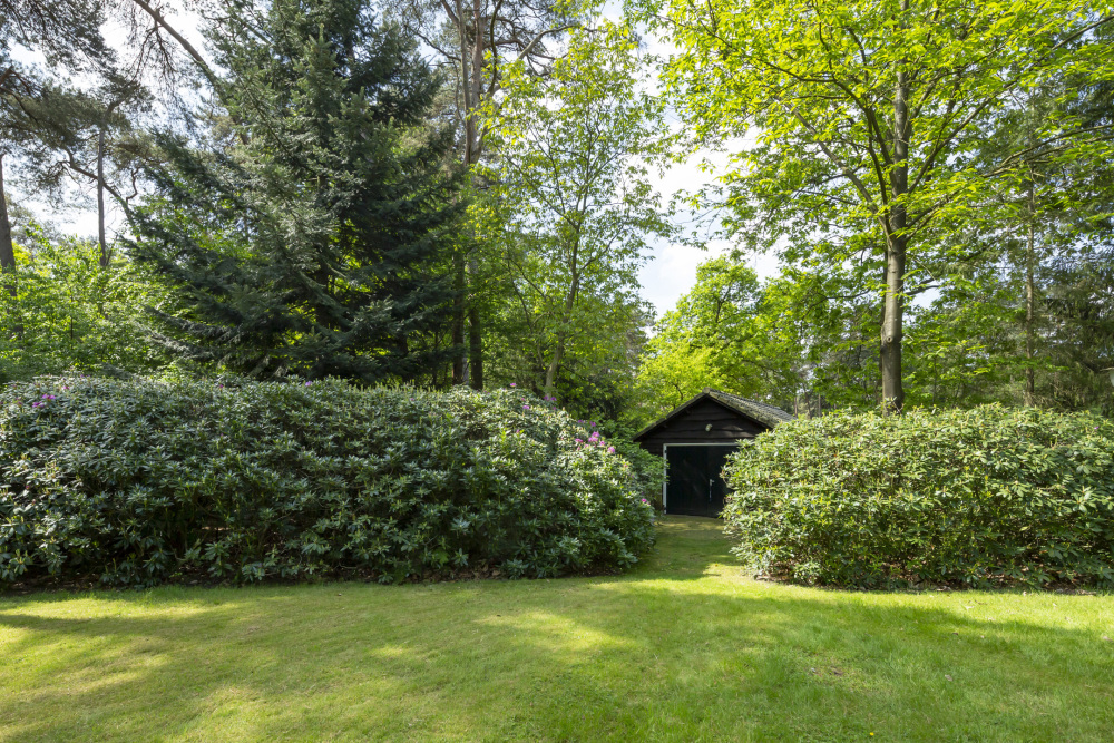 Foto 3 1000w