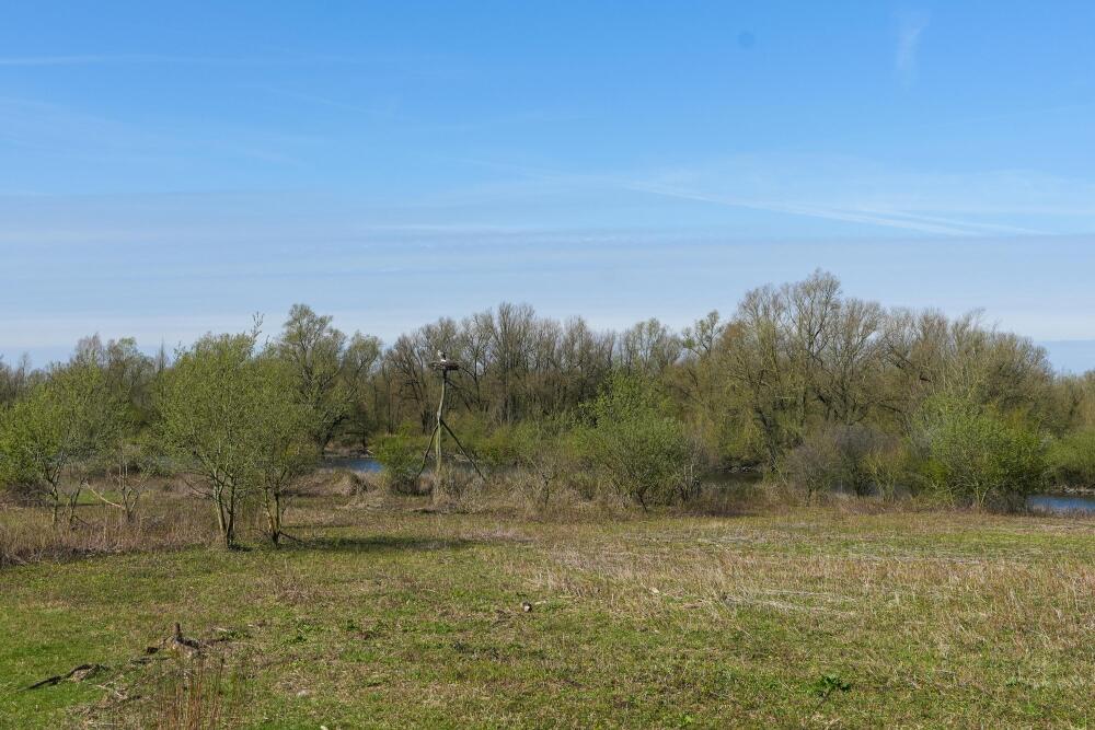 Foto 53 1000w