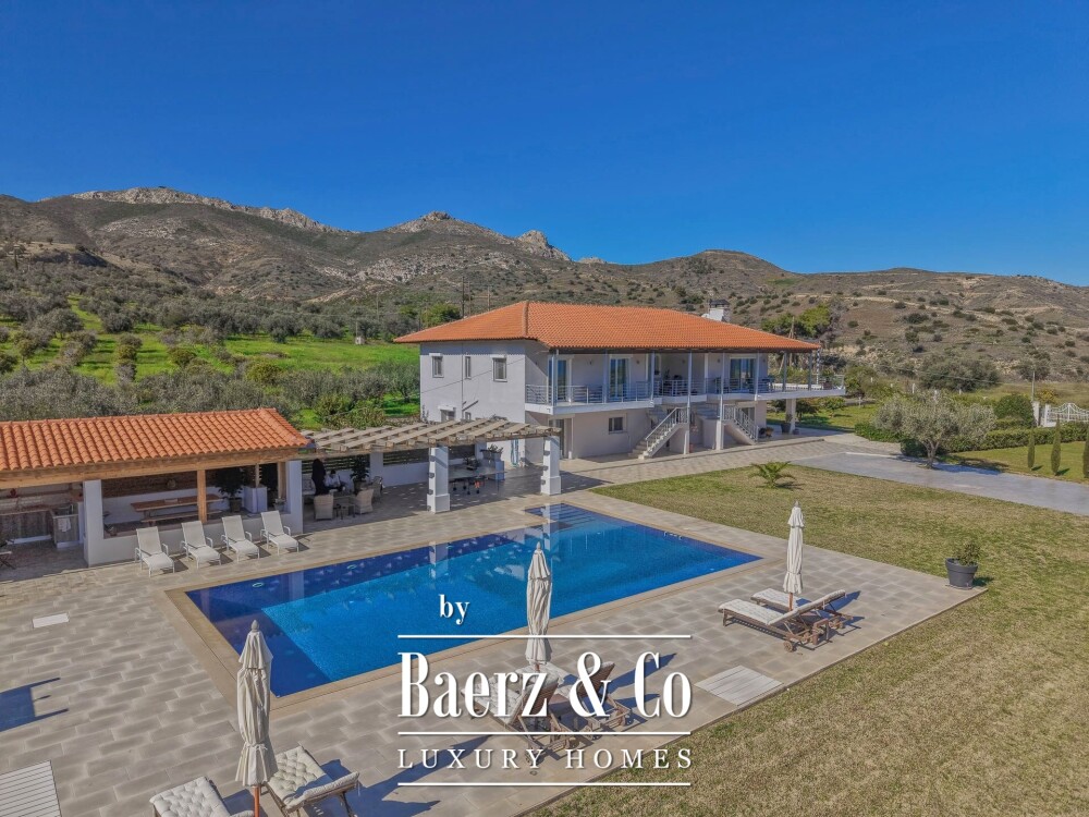 Foto 2 1000w
