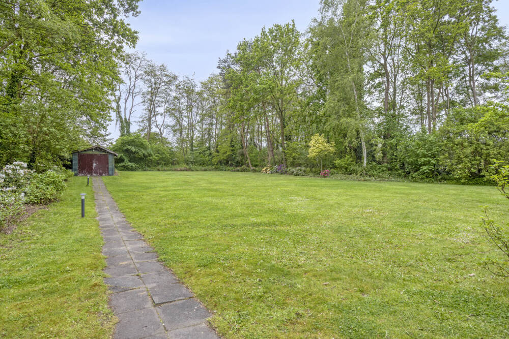 Foto 82 1000w
