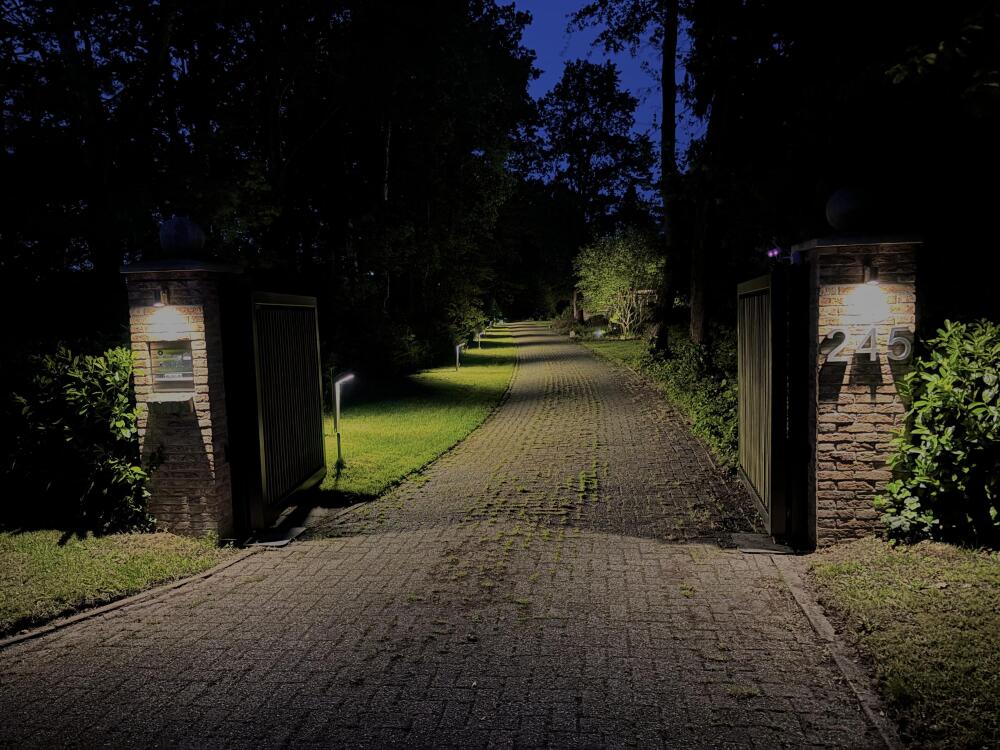 Foto 99 1000w