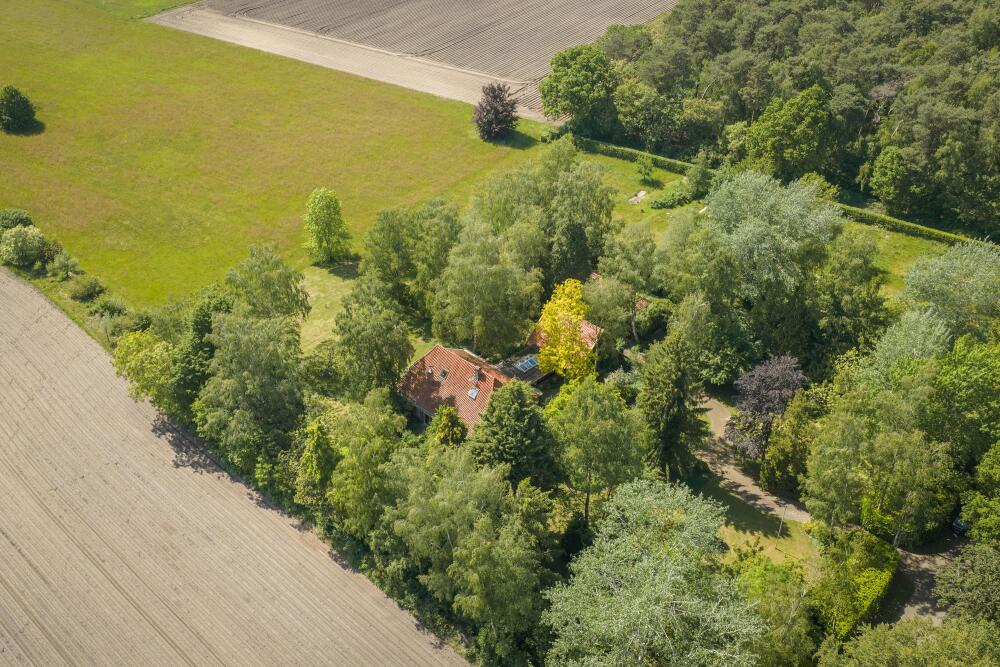 Foto 31 1000w
