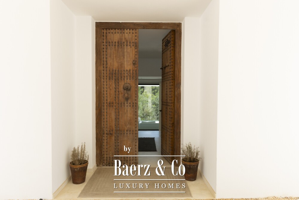 Foto 3 1000w