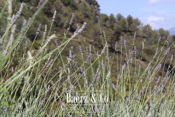 photo 45 Country house for sale 480 m²