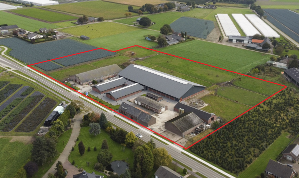 Video Molenstraat 124