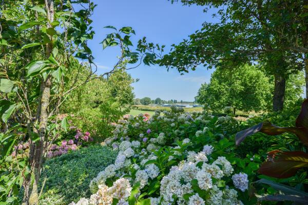 photo 14 Buitenpad 1