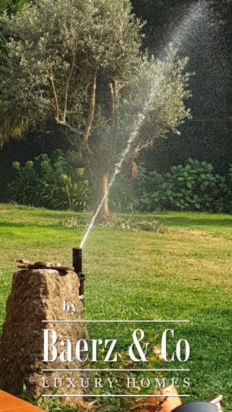 photo 19 Magnificent farm