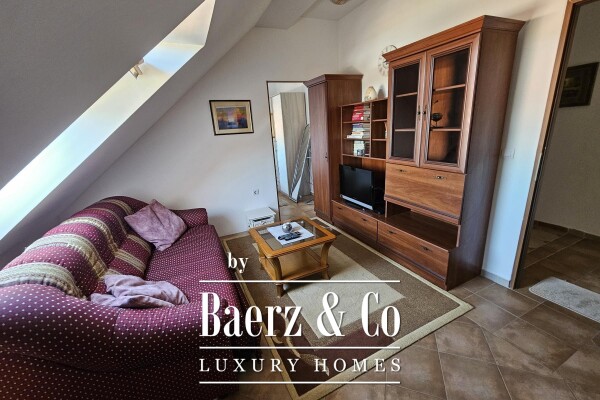 photo 35 Osijek, Lower Town, renovated house with great potential, 700 m2, plot 947 m2