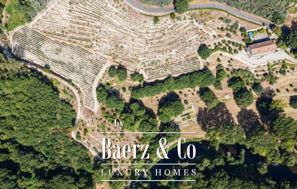 photo 18 Manor house in the Dão wine region