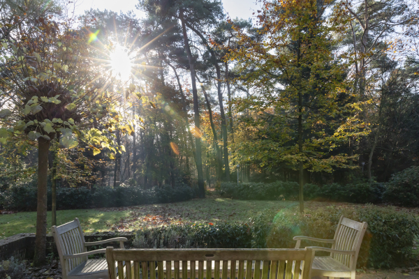 photo 38 Hondsbergselaan 3