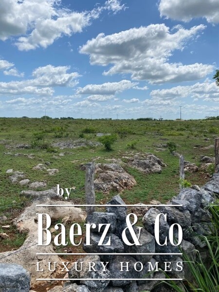 photo 17 Street 24 x 29 