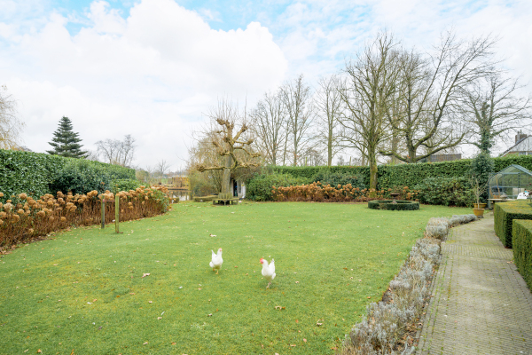 photo 41 Ameroever 64