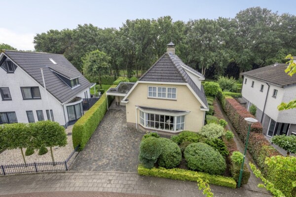 photo 54 Bilzekruid 11