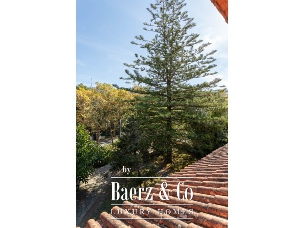 photo 28 8 bedroom villa with garden and swimming pool, in Galamares, Sintra