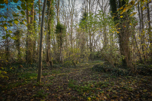 photo 66 Korfgraaf 24