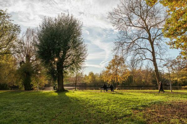 photo 54 Van Breestraat 45