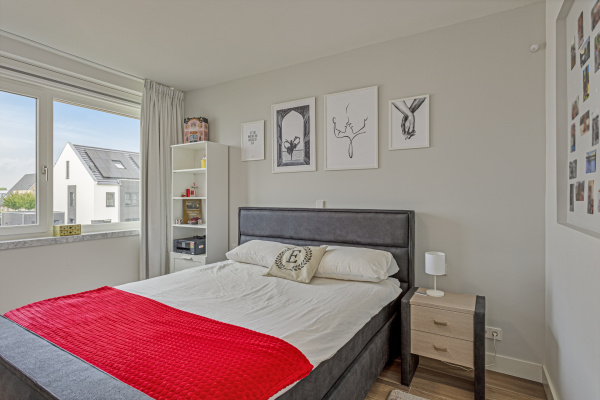 photo 40 Penningkruidstraat 2