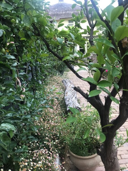 photo 70 Kerkewijk 106