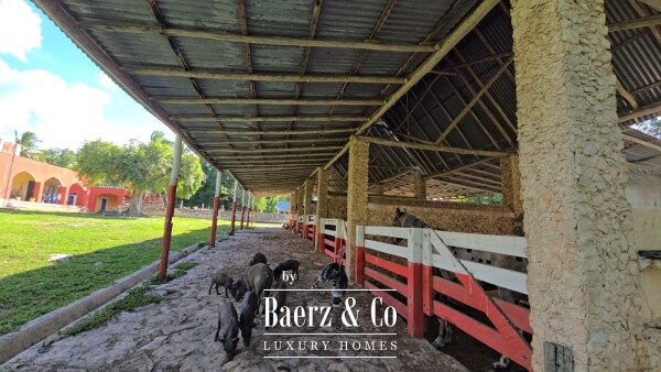 photo 43 Tablaje 3710 Rancho San Roman y Tablaje 1939 Rancho San Jose 