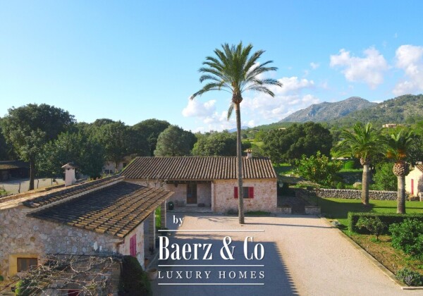 photo 11 Exclusive Wine Estate with Bodega, Olive Grove and 10 Hectares of Private Forest