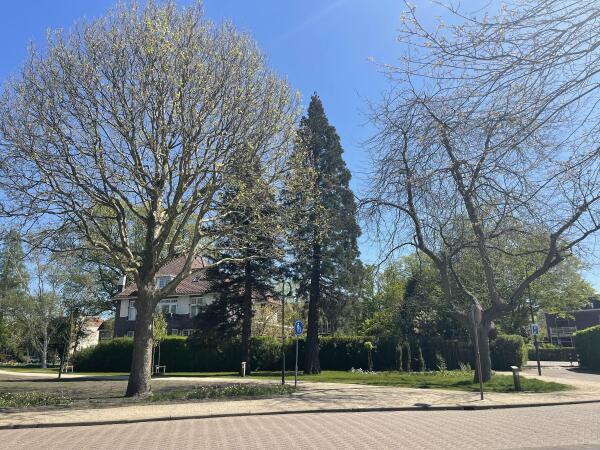 photo 10 van Bergen IJzendoornpark 19