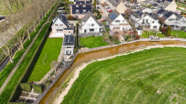 photo 50 Timotheegras 13