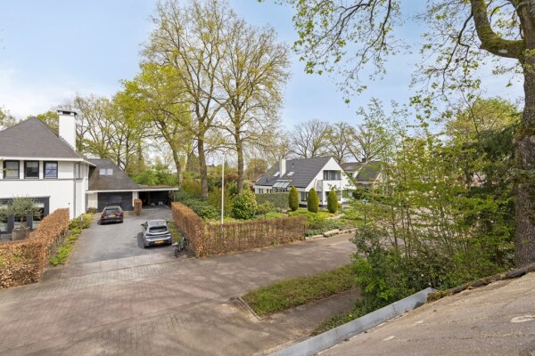 photo 60 Zilvermos 2